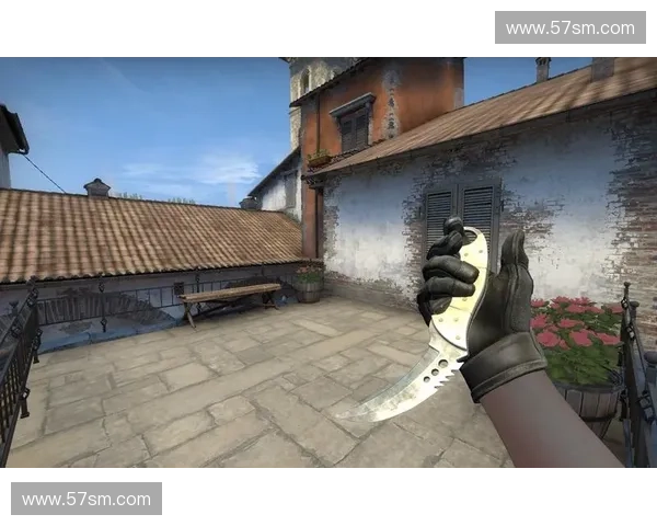 CSGO猎杀刀外观进化史与玩家最热收藏款式深度解析